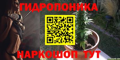 ECSTASY Гусев